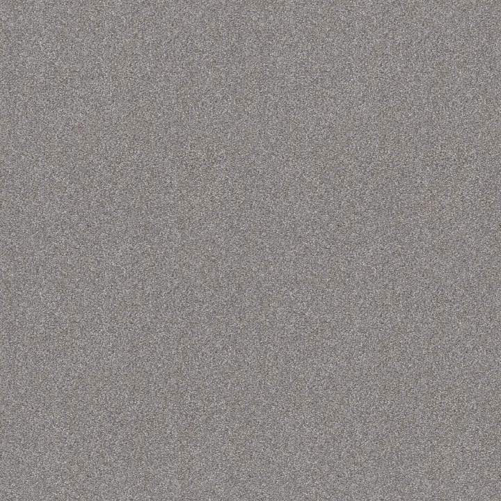 Shaw Floors Attainable — Sterling · E9965-520T — flooring selection with LeviArs Design & Remodeling