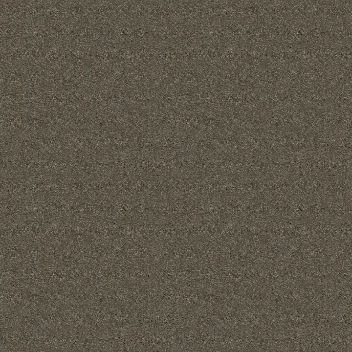 Shaw Floors Attainable — Urban Loft · E9965-702S — flooring selection with LeviArs Design & Remodeling