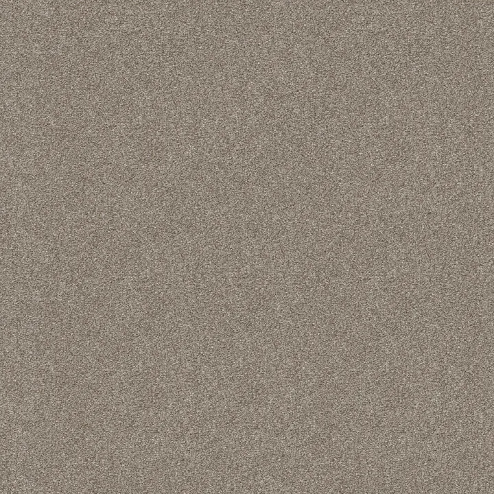 Shaw Floors Attainable — Winter Dunes · E9965-123T — flooring selection with LeviArs Design & Remodeling