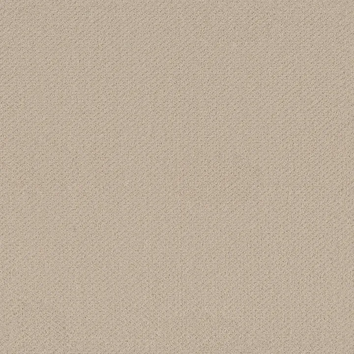 Shaw Floors Austin Park — Better Beige · 5E819-00150 — flooring selection with LeviArs Design & Remodeling