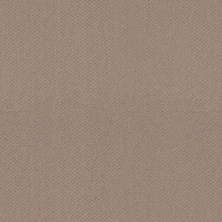 Shaw Floors Austin Park — Pure Earth · 5E819-00750 — flooring selection with LeviArs Design & Remodeling