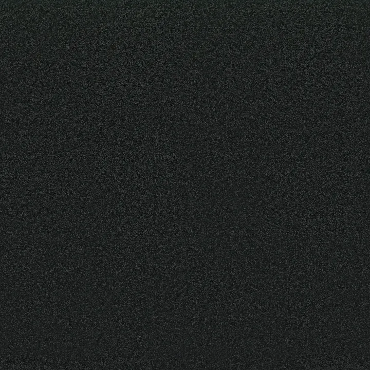 Shaw Floors Awaken Spirit I 12' — Blackout · 5E690-00533 — flooring selection with LeviArs Design & Remodeling