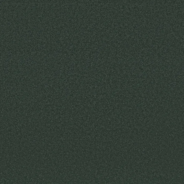 Shaw Floors Awaken Spirit I 12' — Blue Spruce · 5E690-00307 — flooring selection with LeviArs Design & Remodeling
