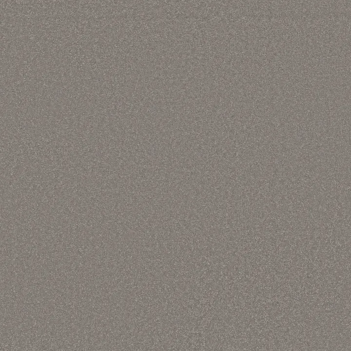 Shaw Floors Awaken Spirit I 12' — Boulder Taupe · 5E690-00117 — flooring selection with LeviArs Design & Remodeling