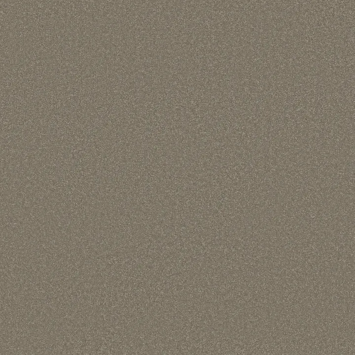 Shaw Floors Awaken Spirit I 12' — Bungalow · 5E690-00110 — flooring selection with LeviArs Design & Remodeling