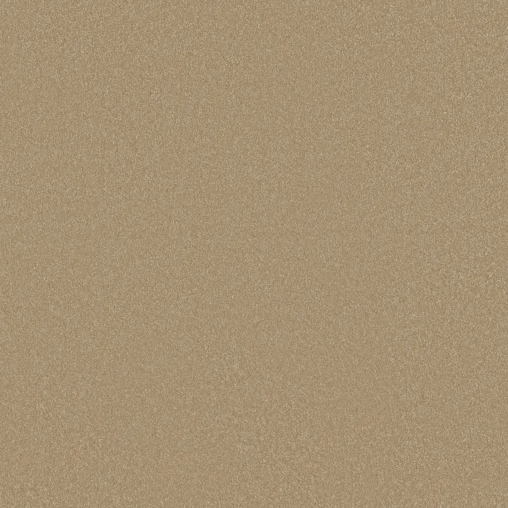 Shaw Floors Awaken Spirit I 12' — Classic Buff · 5E690-00108 — flooring selection with LeviArs Design & Remodeling