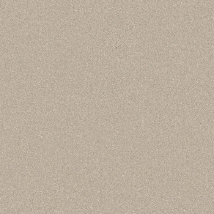 Shaw Floors Awaken Spirit I 12' — Cloud · 5E690-00102 — flooring selection with LeviArs Design & Remodeling