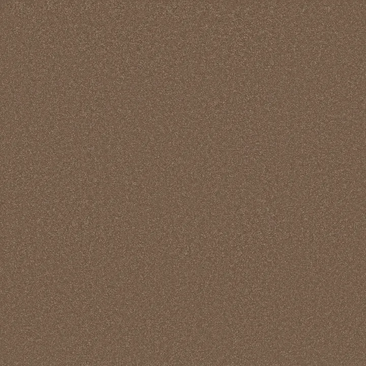 Shaw Floors Awaken Spirit I 12' — Copperglaze · 5E690-00701 — flooring selection with LeviArs Design & Remodeling