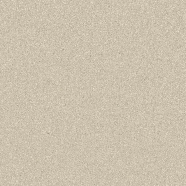 Shaw Floors Awaken Spirit I 12' — Cream · 5E690-00101 — flooring selection with LeviArs Design & Remodeling