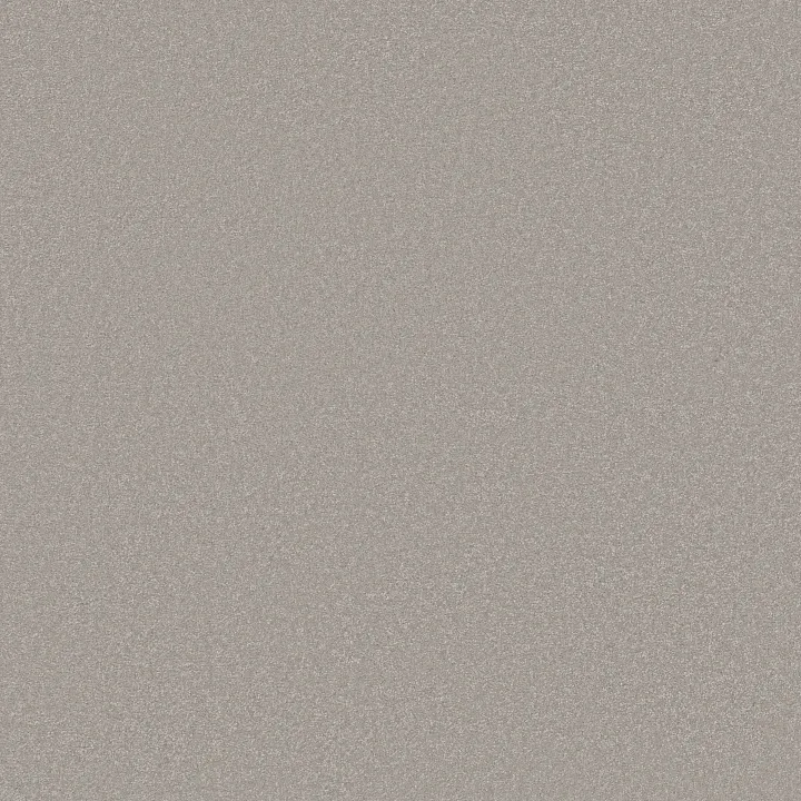 Shaw Floors Awaken Spirit I 12' — Hazy Sky · 5E690-00116 — flooring selection with LeviArs Design & Remodeling