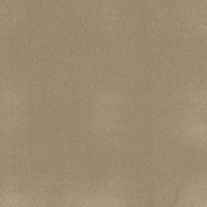 Shaw Floors Awaken Spirit I 12' — Muffin · 5E690-00106 — flooring selection with LeviArs Design & Remodeling