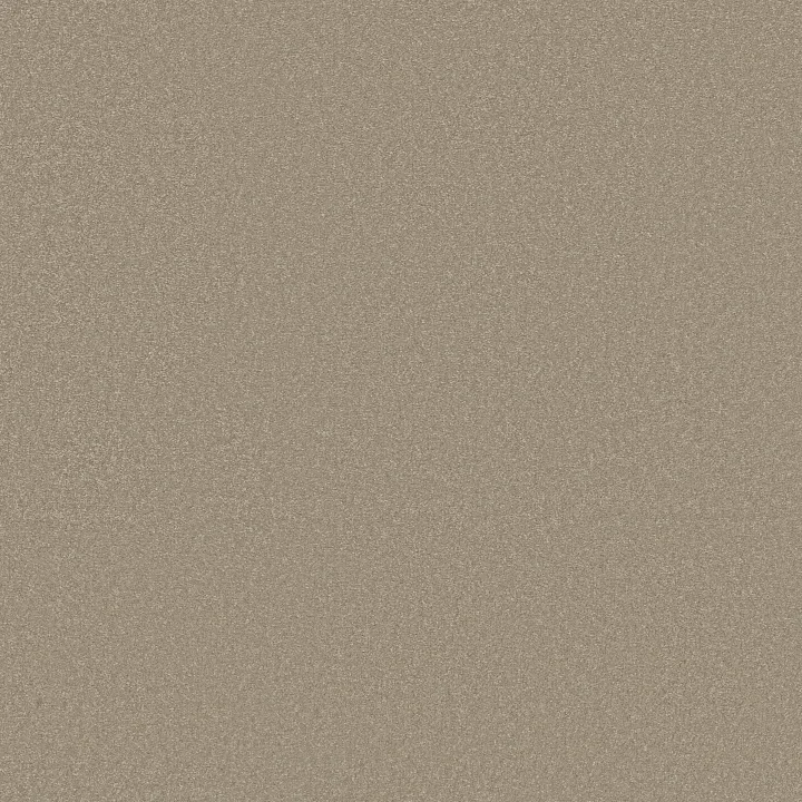 Shaw Floors Awaken Spirit I 12' — Neutral Ground · 5E690-00115 — flooring selection with LeviArs Design & Remodeling