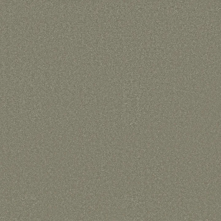 Shaw Floors Awaken Spirit I 12' — Silver Sage · 5E690-00360 — flooring selection with LeviArs Design & Remodeling