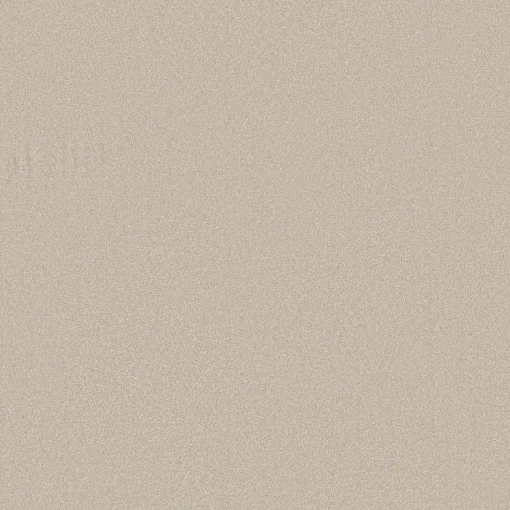 Shaw Floors Awaken Spirit I 12' — Spun Wool · 5E690-00112 — flooring selection with LeviArs Design & Remodeling
