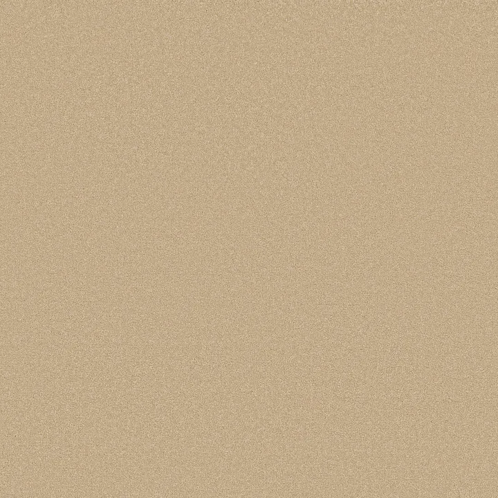 Shaw Floors Awaken Spirit I 12' — Sugar Cookie · 5E690-00105 — flooring selection with LeviArs Design & Remodeling