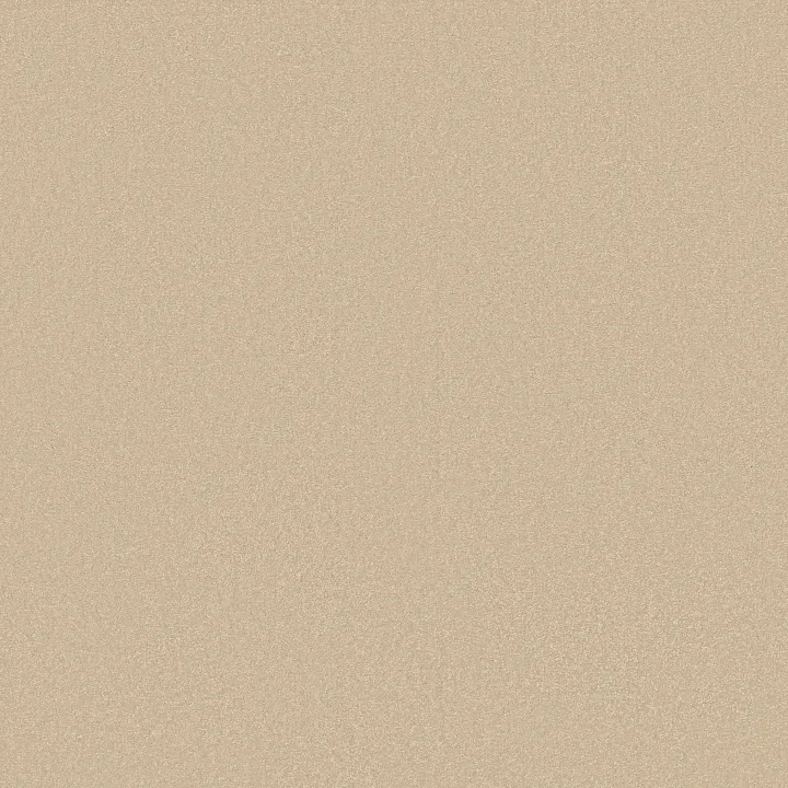 Shaw Floors Awaken Spirit I 12' — Sunlight · 5E690-00100 — flooring selection with LeviArs Design & Remodeling