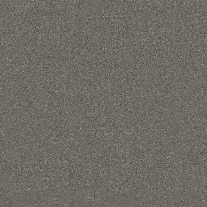 Shaw Floors Awaken Spirit I 12' — Taupetone · 5E690-00710 — flooring selection with LeviArs Design & Remodeling