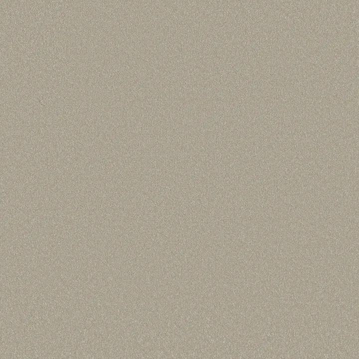 Shaw Floors Awaken Spirit I 12' — Whiskers · 5E690-00161 — flooring selection with LeviArs Design & Remodeling