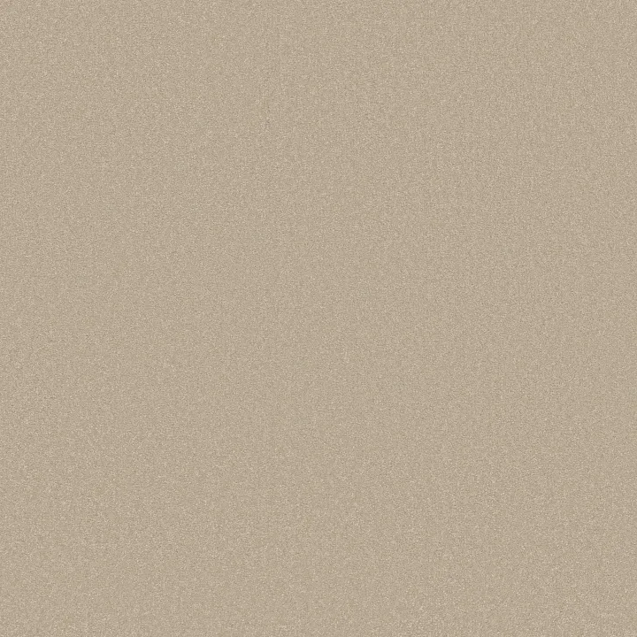 Shaw Floors Awaken Spirit I 12' — Windfresh · 5E690-00113 — flooring selection with LeviArs Design & Remodeling