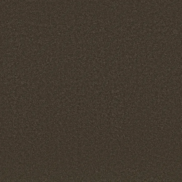 Shaw Floors Awaken Spirit I 12' — Wood Grain · 5E690-00721 — flooring selection with LeviArs Design & Remodeling
