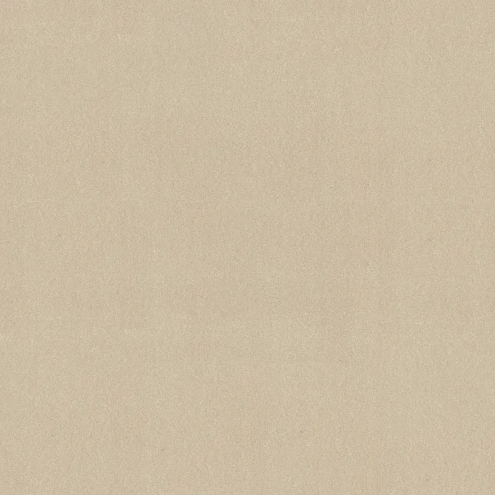 Shaw Floors Awaken Spirit II 12' — Cottage · 5E691-00111 — flooring selection with LeviArs Design & Remodeling