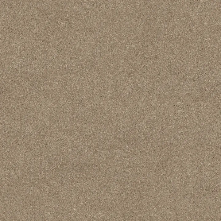 Shaw Floors Awaken Spirit II 12' — Fresco · 5E691-00109 — flooring selection with LeviArs Design & Remodeling