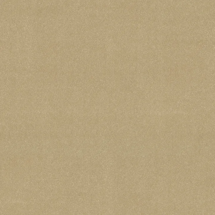 Shaw Floors Awaken Spirit II 12' — Sugar Cookie · 5E691-00105 — flooring selection with LeviArs Design & Remodeling