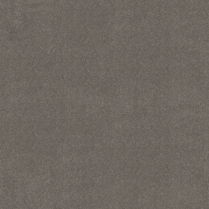 Shaw Floors Awaken Spirit II 12' — Taupetone · 5E691-00710 — flooring selection with LeviArs Design & Remodeling