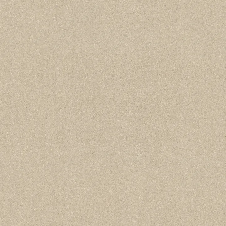 Shaw Floors Awaken Spirit II 12' — Windfresh · 5E691-00113 — flooring selection with LeviArs Design & Remodeling