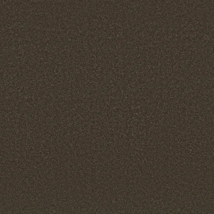 Shaw Floors Awaken Spirit II 12' — Wood Grain · 5E691-00721 — flooring selection with LeviArs Design & Remodeling