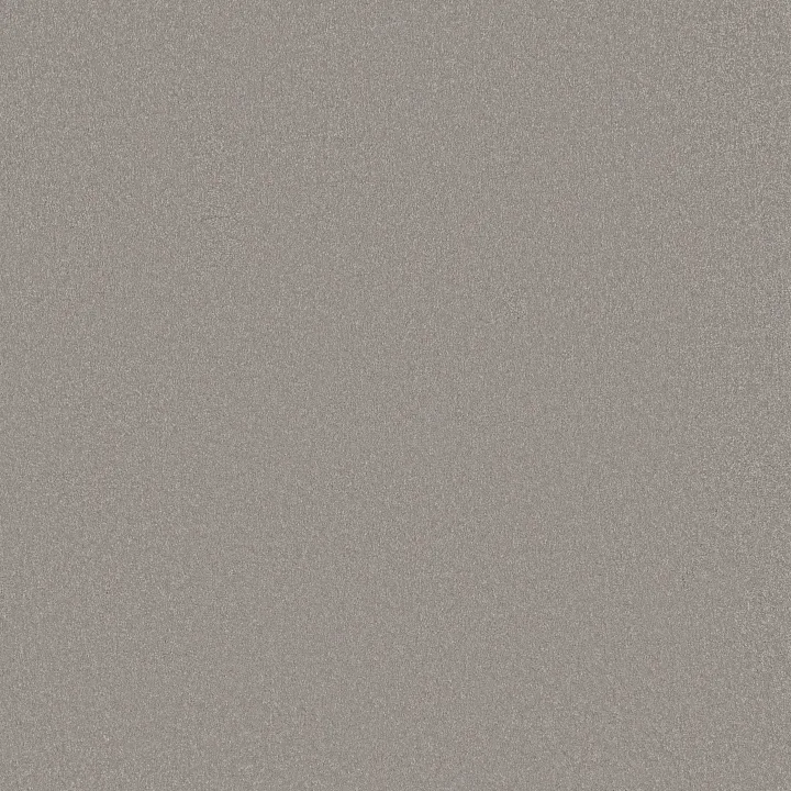 Shaw Floors Awaken Spirit II 15' — Subtle Touch · 5E692-00118 — flooring selection with LeviArs Design & Remodeling