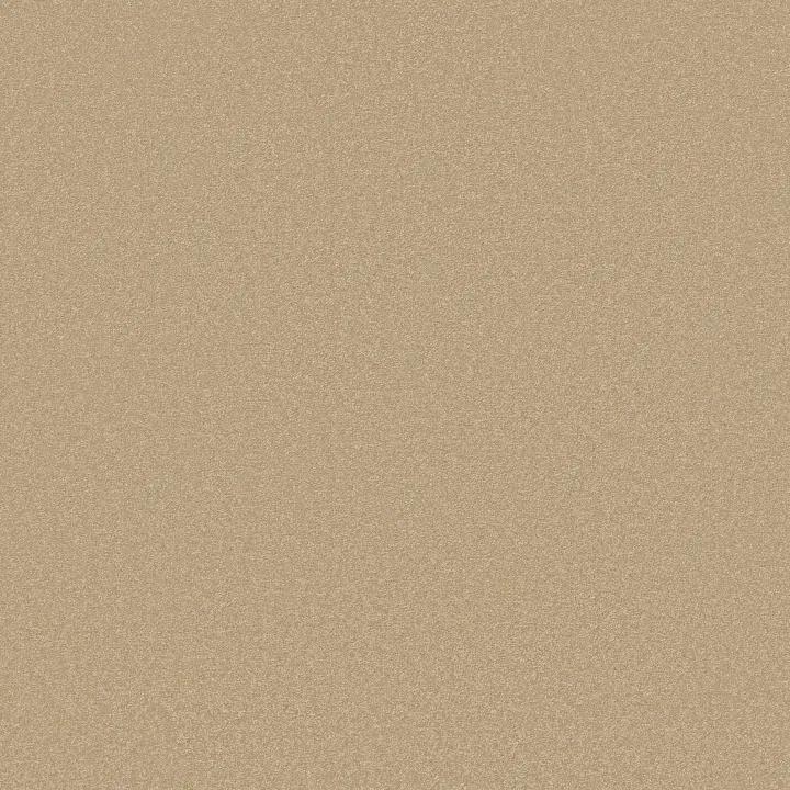 Shaw Floors Awaken Spirit II 15' — Sugar Cookie · 5E692-00105 — flooring selection with LeviArs Design & Remodeling