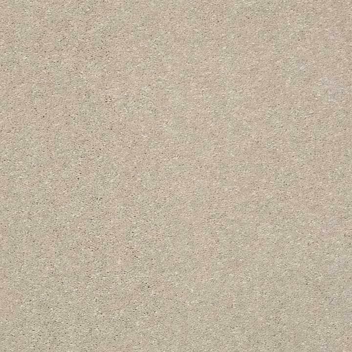 Shaw Floors Basic Rules — Arctic Fox · E9639-00112 — flooring selection with LeviArs Design & Remodeling