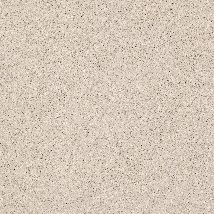 Shaw Floors Basic Rules — Blush · E9639-00104 — flooring selection with LeviArs Design & Remodeling
