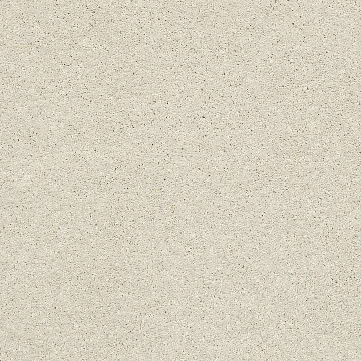 Shaw Floors Basic Rules — Creamery · E9639-00103 — flooring selection with LeviArs Design & Remodeling
