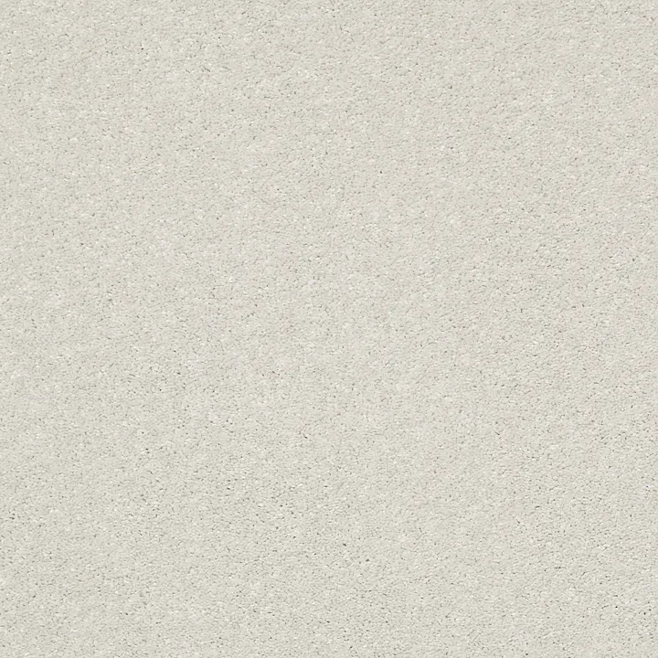 Shaw Floors Basic Rules — Dew · E9639-00106 — flooring selection with LeviArs Design & Remodeling
