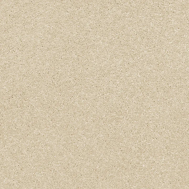 Shaw Floors Basic Rules — Eggshell · E9639-00102 — flooring selection with LeviArs Design & Remodeling