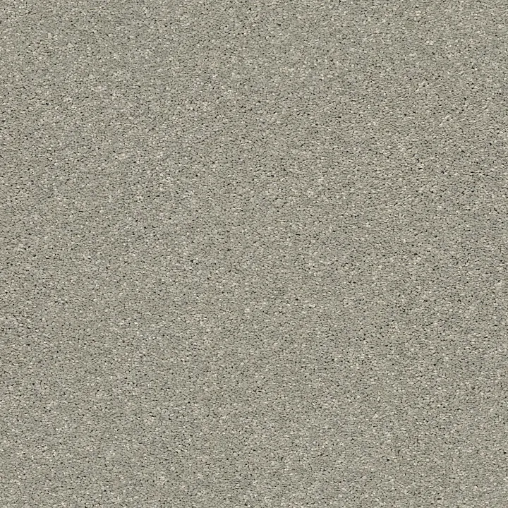Shaw Floors Basic Rules — Flax · E9639-00502 — flooring selection with LeviArs Design & Remodeling
