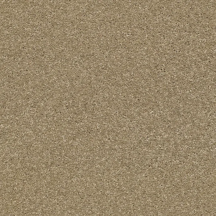 Shaw Floors Basic Rules — Gold Rush · E9639-00200 — flooring selection with LeviArs Design & Remodeling