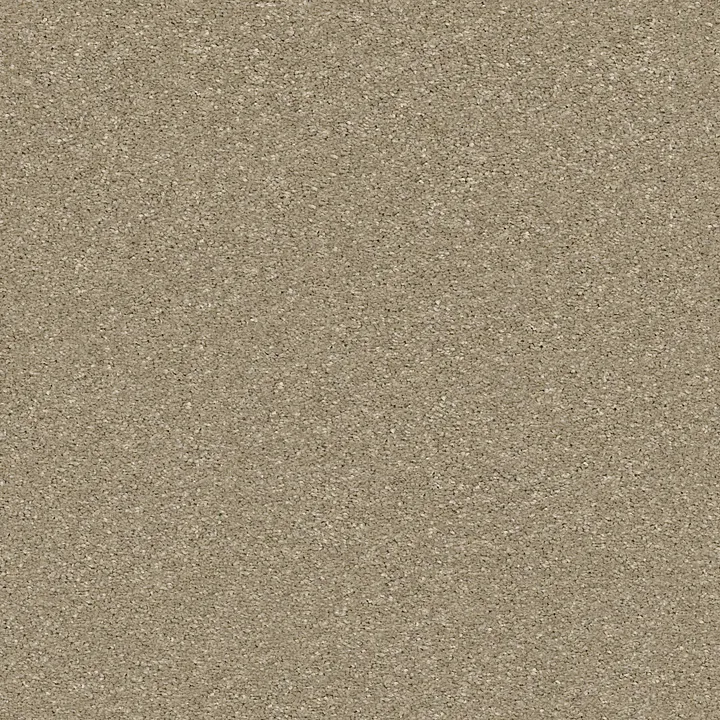 Shaw Floors Basic Rules — Khaki · E9639-00700 — flooring selection with LeviArs Design & Remodeling
