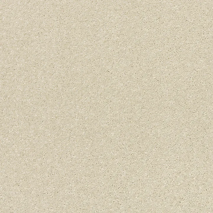 Shaw Floors Basic Rules — Linen · E9639-00110 — flooring selection with LeviArs Design & Remodeling