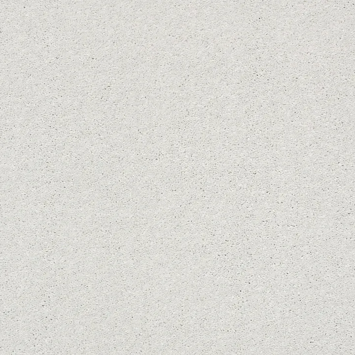 Shaw Floors Basic Rules — Mist · E9639-00107 — flooring selection with LeviArs Design & Remodeling