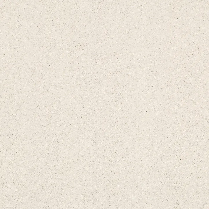 Shaw Floors Basic Rules — Oatmeal · E9639-00108 — flooring selection with LeviArs Design & Remodeling