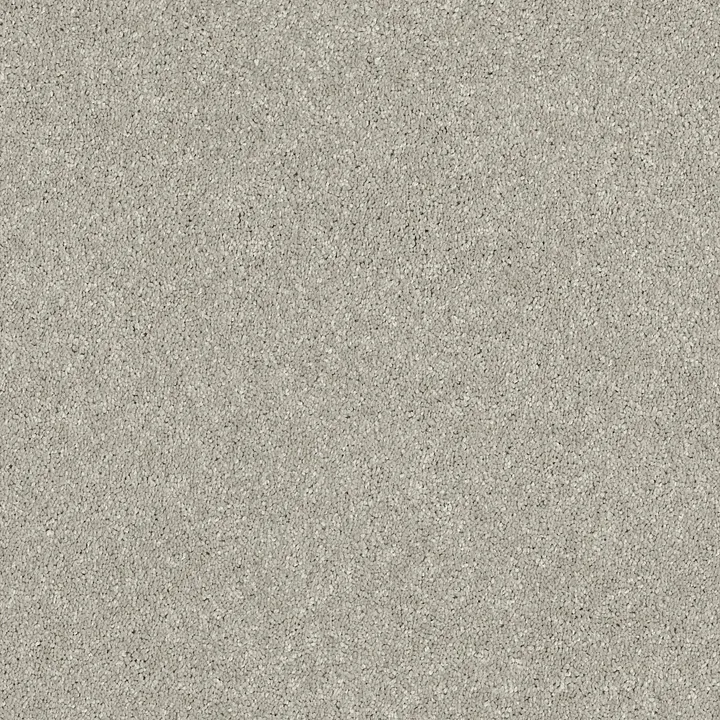 Shaw Floors Basic Rules — Platinum · E9639-00500 — flooring selection with LeviArs Design & Remodeling