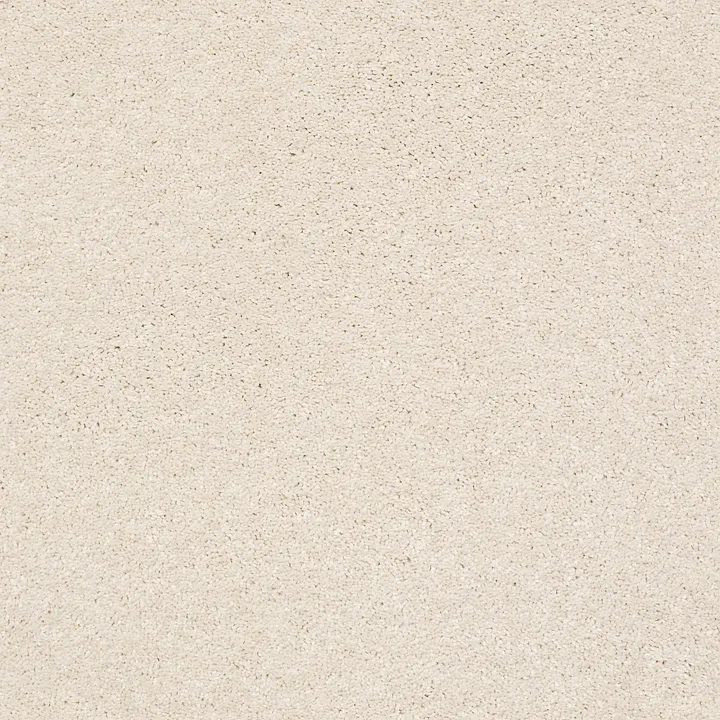 Shaw Floors Basic Rules — Snowfall · E9639-00101 — flooring selection with LeviArs Design & Remodeling