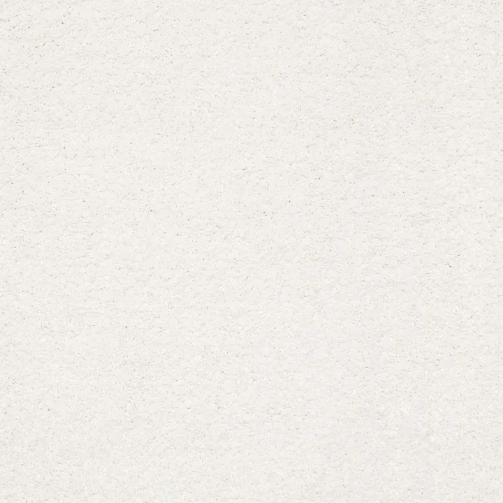 Shaw Floors Basic Rules — Super Fine · E9639-00100 — flooring selection with LeviArs Design & Remodeling