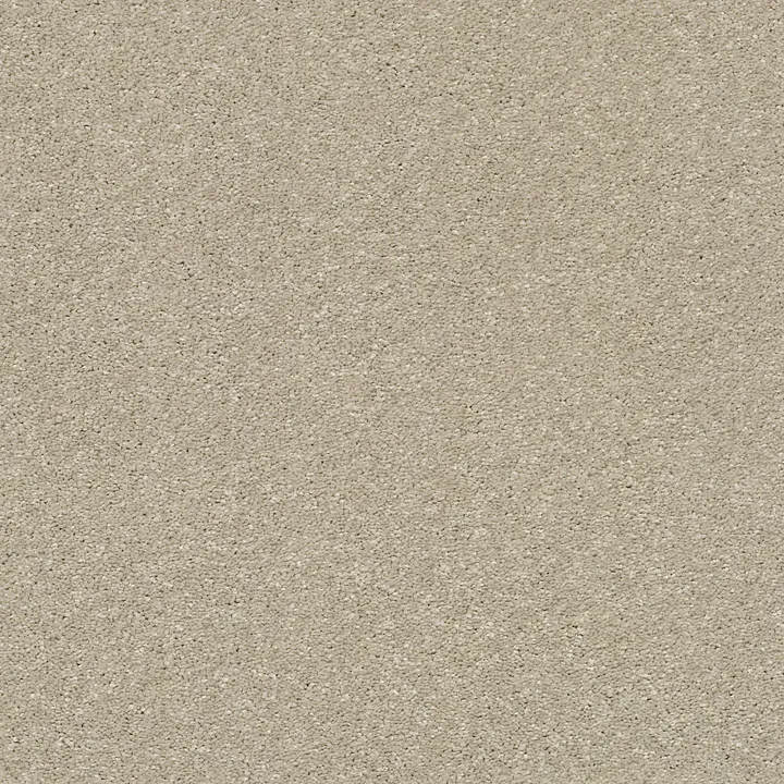 Shaw Floors Basic Rules — Vicuna · E9639-00111 — flooring selection with LeviArs Design & Remodeling