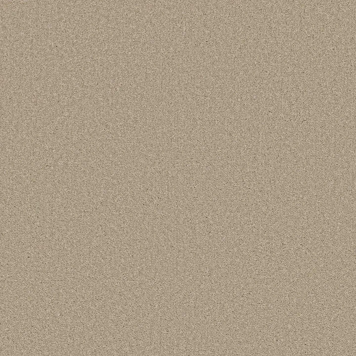 Shaw Floors Well Made — Agate · 5E667-00102 — flooring selection with LeviArs Design & Remodeling