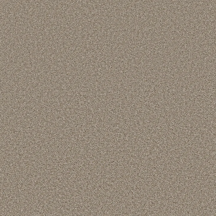 Shaw Floors Trusolutions I — Beach Cabana · 5E647-00704 — flooring selection with LeviArs Design & Remodeling