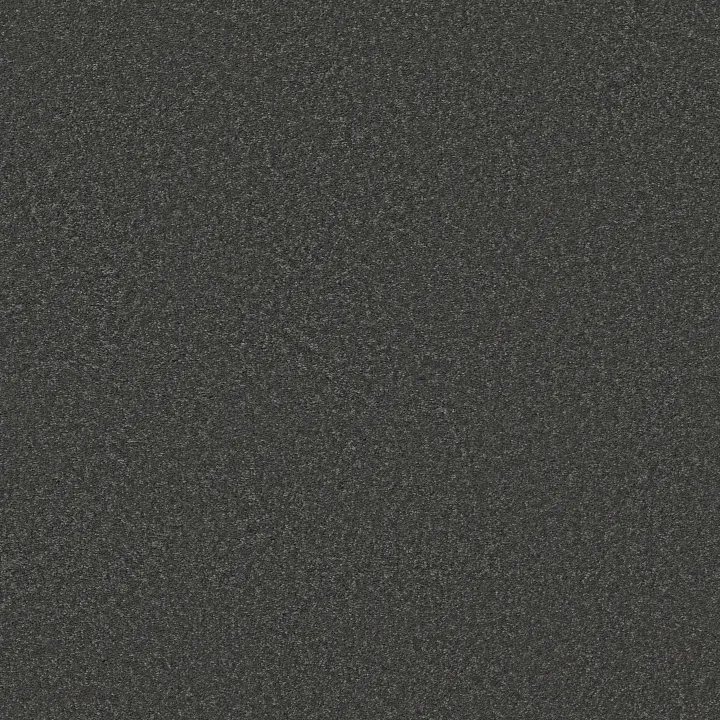 Shaw Floors Well Made — Charcoal · 5E667-00504 — flooring selection with LeviArs Design & Remodeling